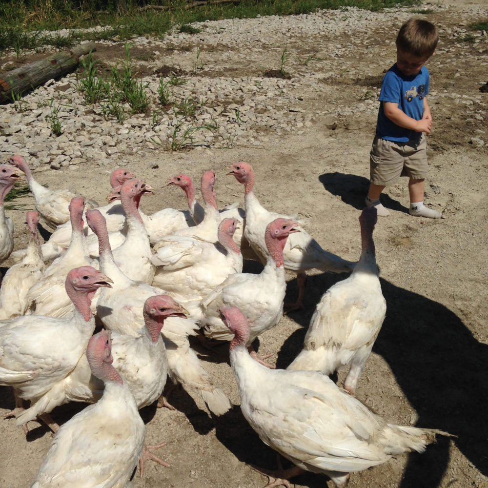 Information For Prospective Producers Iowa Food Cooperative